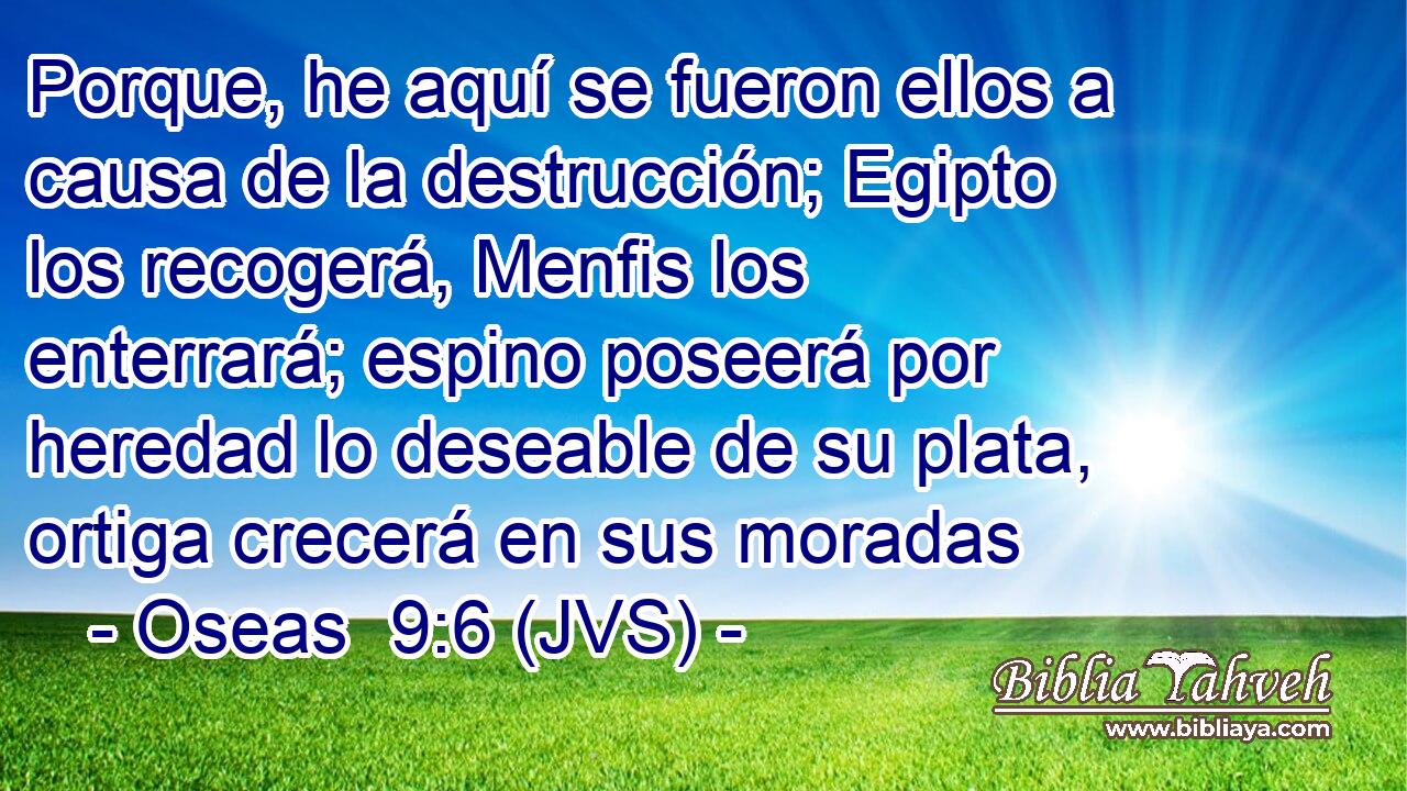 Porque, he aquí se fueron ellos a causa de la destrucción; Egipto los recogerá, Menfis los enterrará; espino poseerá por heredad lo deseable de su plata, ortiga crecerá en sus moradas