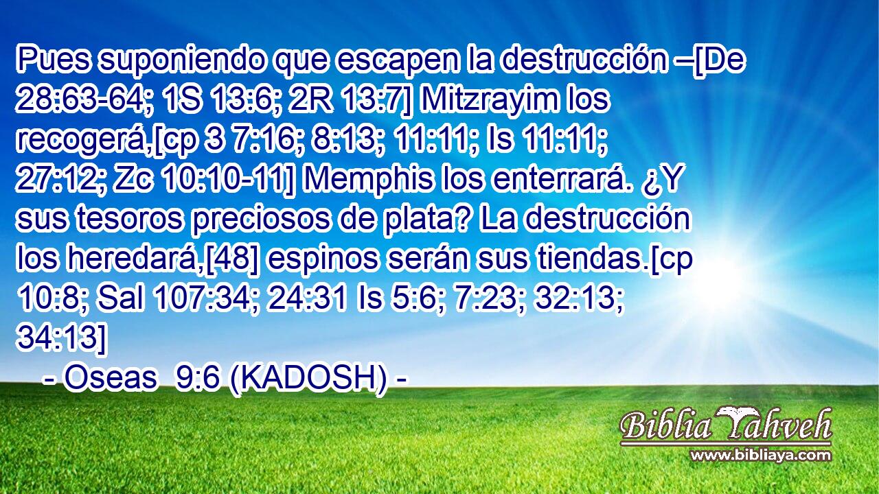  Pues suponiendo que escapen la destrucción –[De 28:63-64; 1S 13:6; 2R 13:7] Mitzrayim los recogerá,[cp 3 7:16; 8:13; 11:11; Is 11:11; 27:12; Zc 10:10-11] Memphis los enterrará. ¿Y sus tesoros preciosos de plata? La destrucción los heredará,[48] espinos serán sus tiendas.[cp 10:8; Sal 107:34; 24:31 Is 5:6; 7:23; 32:13; 34:13] 
