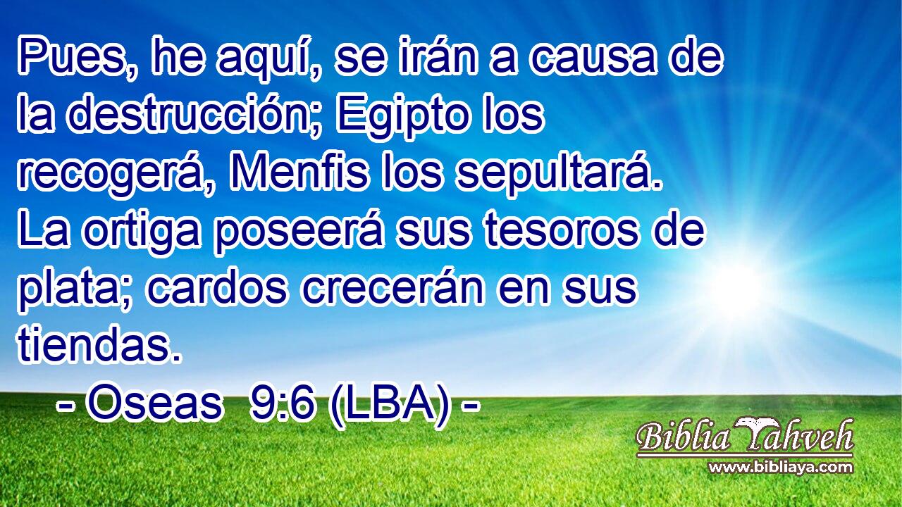 Pues, he aquí, se irán a causa de la destrucción; Egipto los recogerá, Menfis los sepultará. La ortiga poseerá sus tesoros de plata; cardos crecerán en sus tiendas.