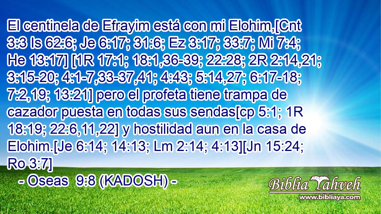  El centinela de Efrayim está con mi Elohim,[Cnt 3:3 Is 62:6; Je 6:17; 31:6; Ez 3:17; 33:7; Mi 7:4; He 13:17] [1R 17:1; 18:1,36-39; 22:28; 2R 2:14,21; 3:15-20; 4:1-7,33-37,41; 4:43; 5:14,27; 6:17-18; 7:2,19; 13:21] pero el profeta tiene trampa de cazador puesta en todas sus sendas[cp 5:1; 1R 18:19; 22:6,11,22] y hostilidad aun en la casa de Elohim.[Je 6:14; 14:13; Lm 2:14; 4:13][Jn 15:24; Ro 3:7] 