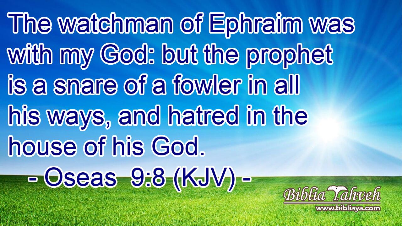 The watchman of Ephraim was with my God: but the prophet is a snare of a fowler in all his ways, and hatred in the house of his God.