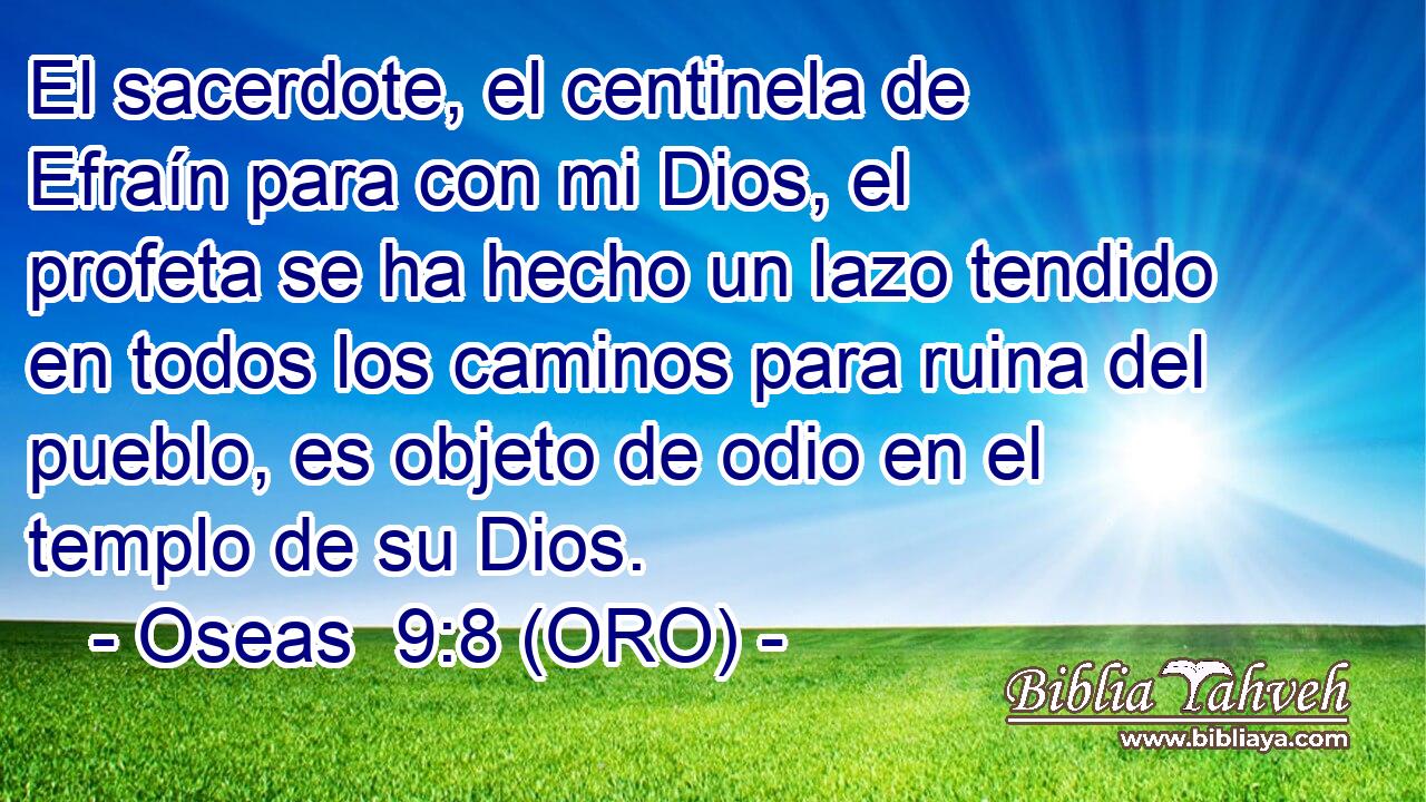  El sacerdote, el centinela de Efraín para con mi Dios, el profeta se ha hecho un lazo tendido en todos los caminos para ruina del pueblo, es objeto de odio en el templo de su Dios. 