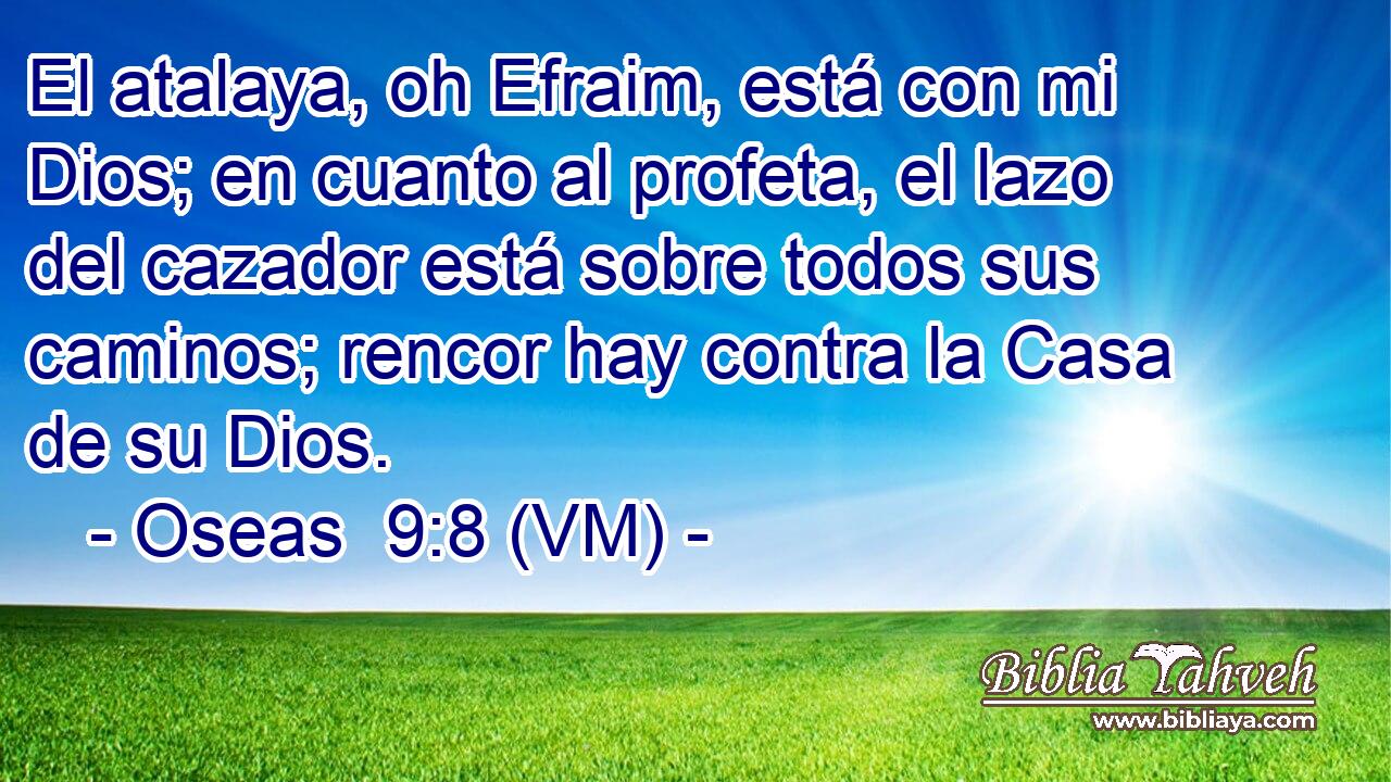  El atalaya, oh Efraim, está con mi Dios; en cuanto al profeta, el lazo del cazador está sobre todos sus caminos; rencor hay contra la Casa de su Dios. 
