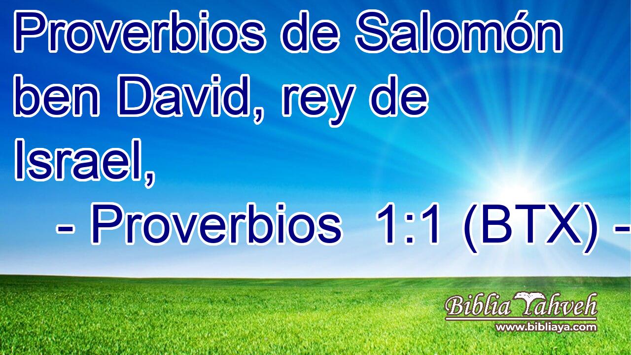 Proverbios de Salomón ben David, rey de Israel,