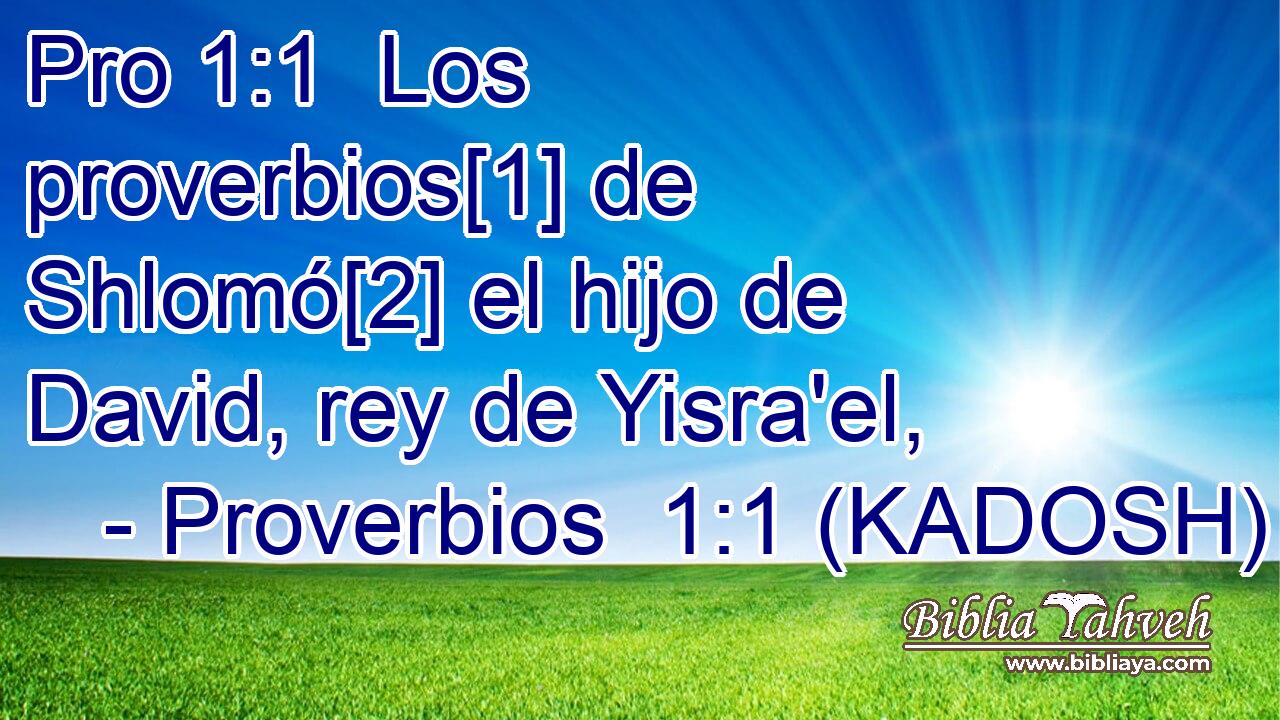  Los proverbios[1] de Shlomó[2] el hijo de David, rey de Yisra'el, 