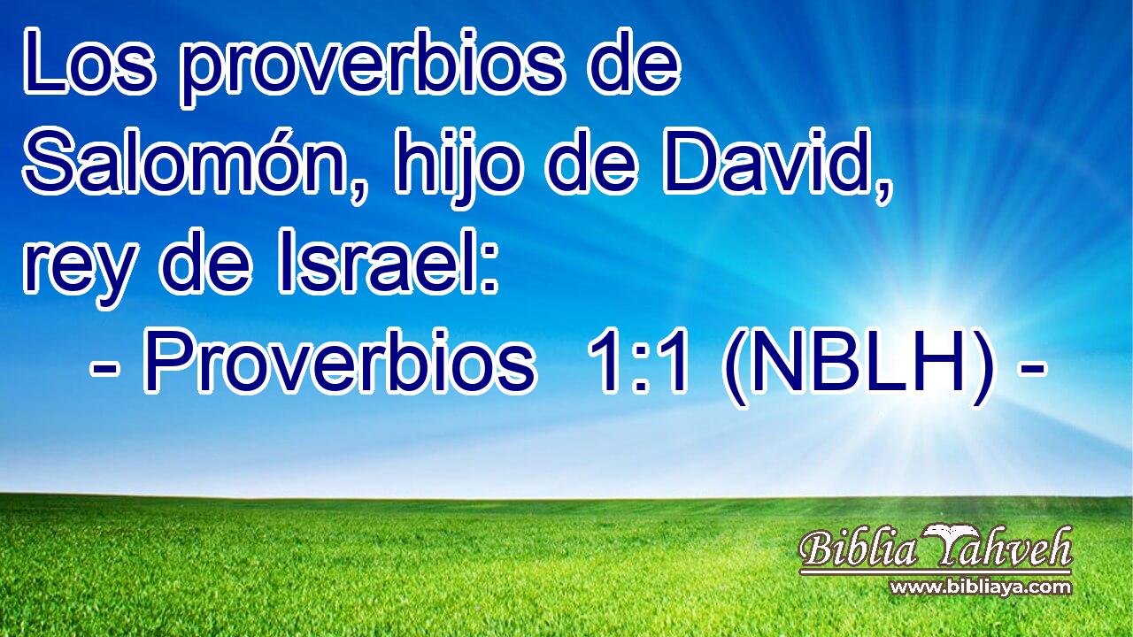  Los proverbios de Salomón, hijo de David, rey de Israel: 