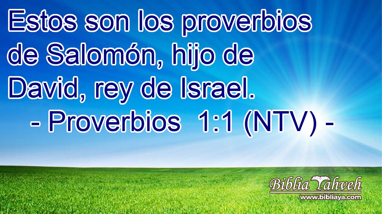 Estos son los proverbios de Salomón, hijo de David, rey de Israel.