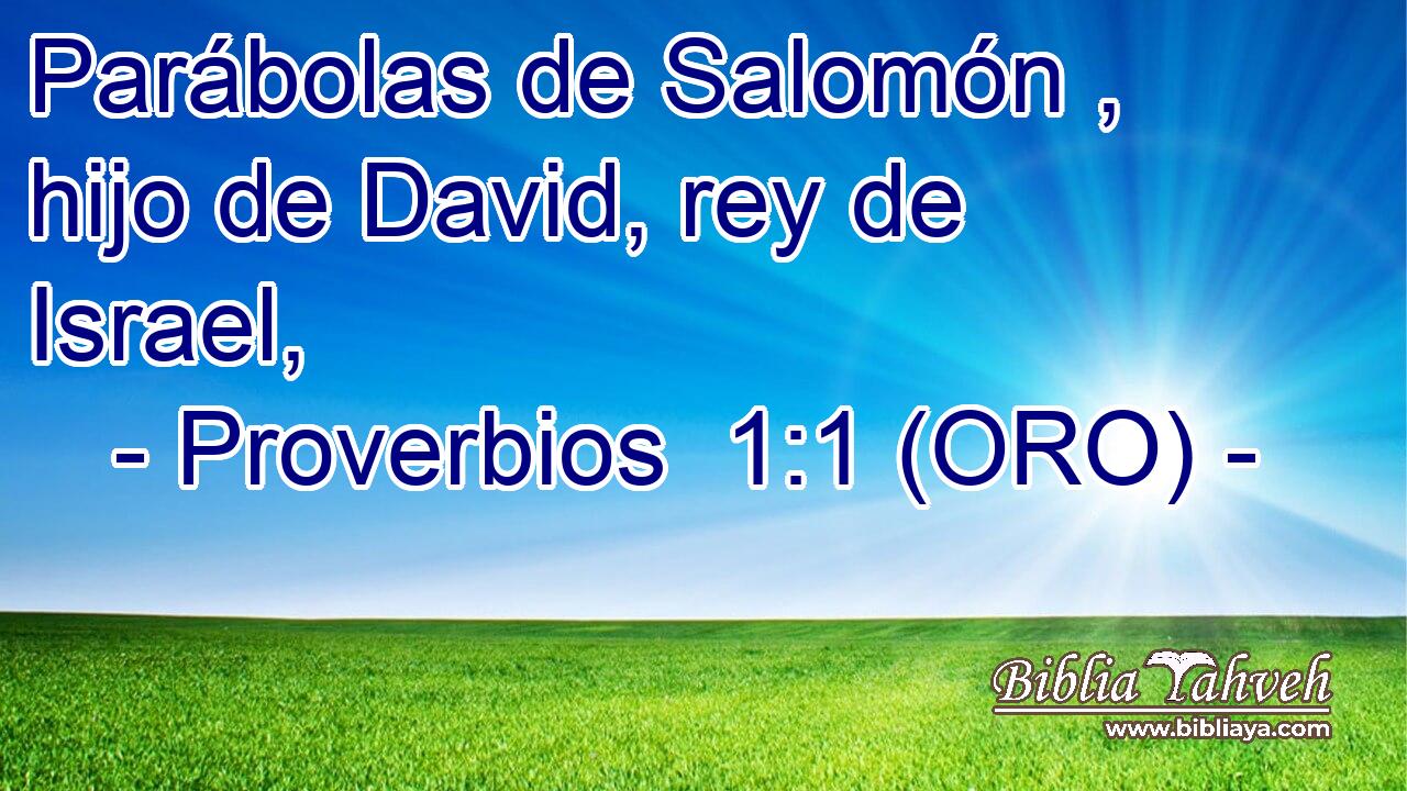  Parábolas de Salomón , hijo de David, rey de Israel, 