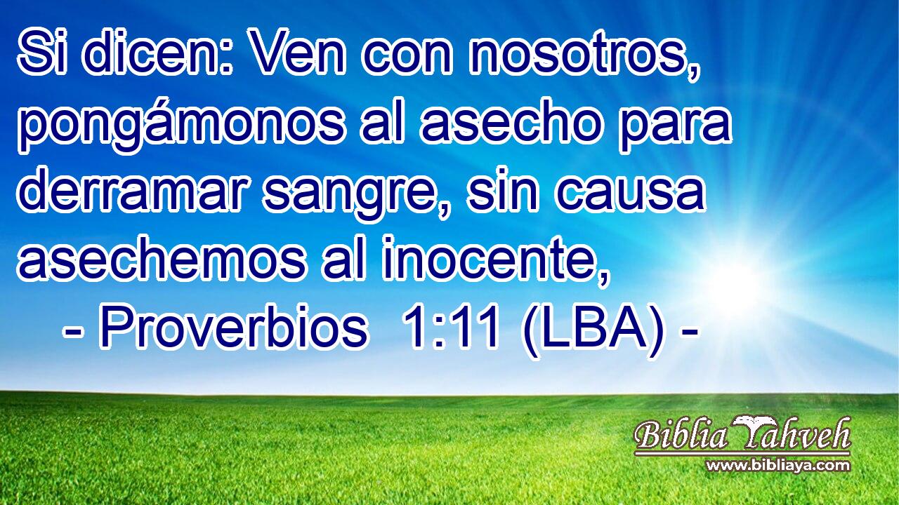 Si dicen: Ven con nosotros, pongámonos al asecho para derramar sangre, sin causa asechemos al inocente,