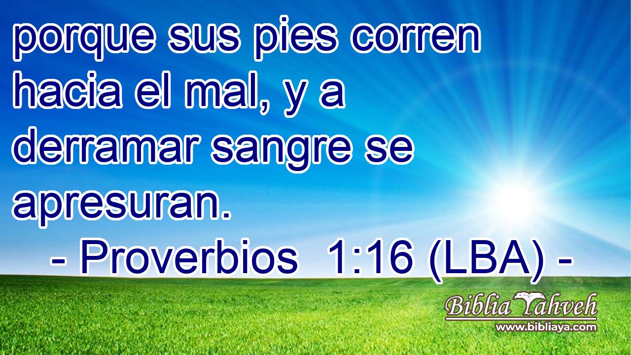porque sus pies corren hacia el mal, y a derramar sangre se apresuran.