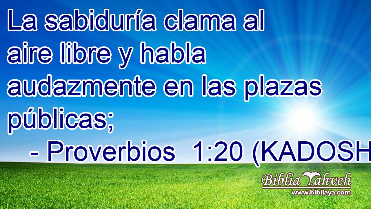  La sabiduría clama al aire libre y habla audazmente en las plazas públicas; 