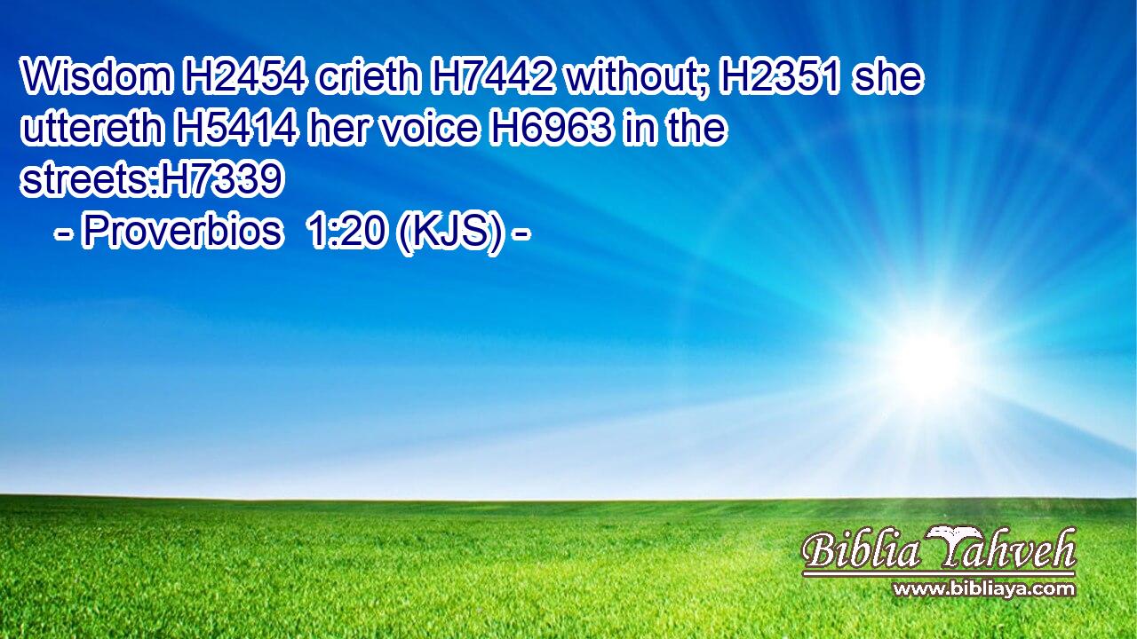 Wisdom H2454 crieth H7442 without; H2351 she uttereth H5414 her voice H6963 in the streets:H7339