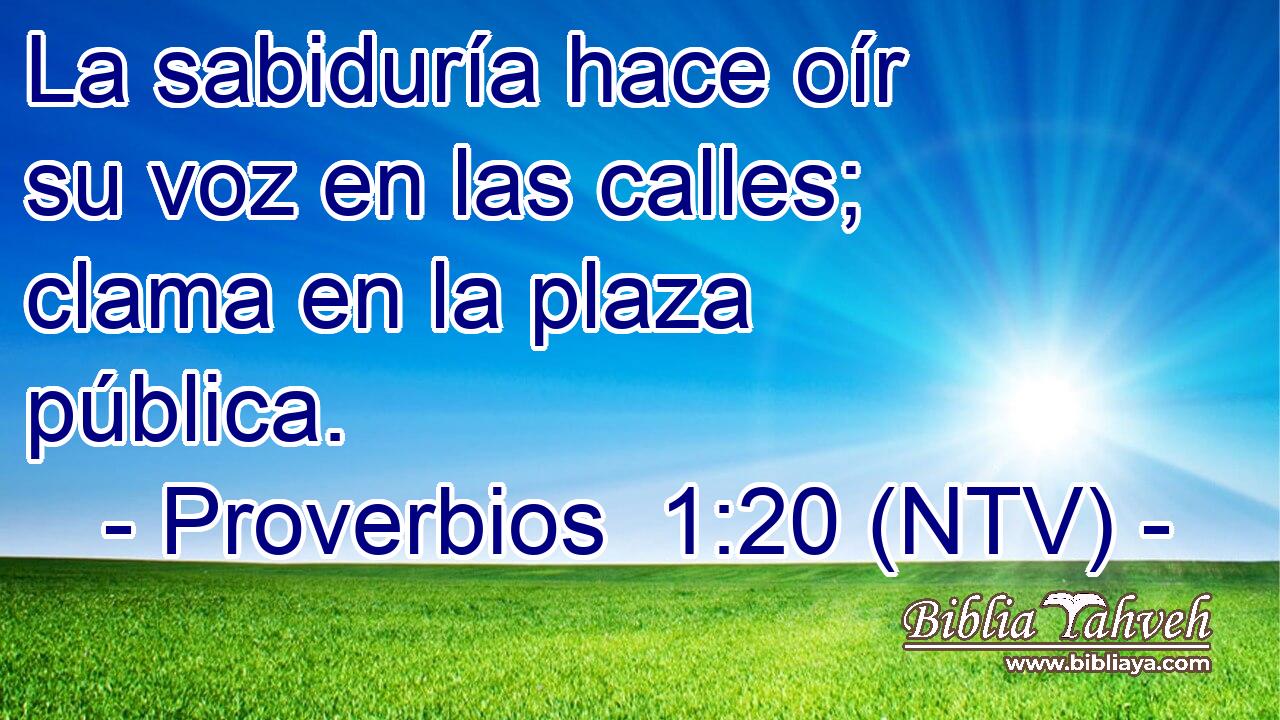 La sabiduría hace oír su voz en las calles; clama en la plaza pública.