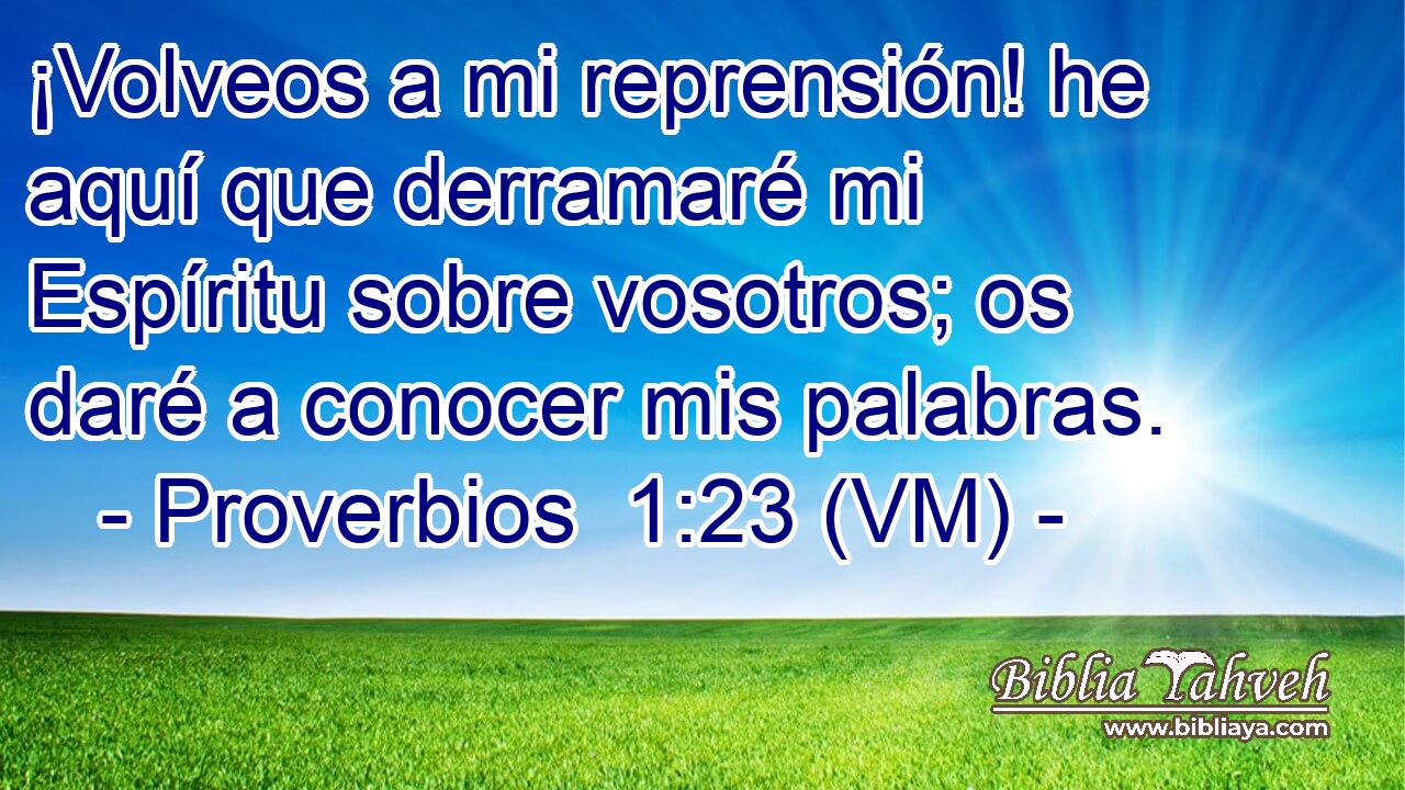  ¡Volveos a mi reprensión! he aquí que derramaré mi Espíritu sobre vosotros; os daré a conocer mis palabras. 