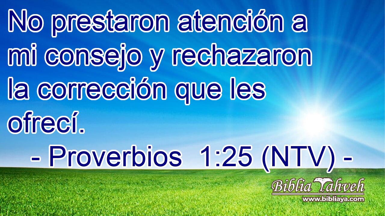No prestaron atención a mi consejo y rechazaron la corrección que les ofrecí.