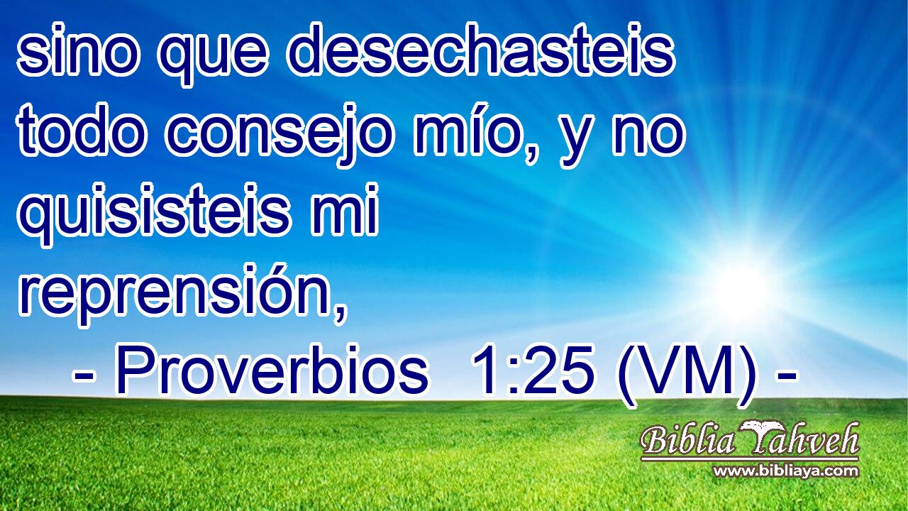  sino que desechasteis todo consejo mío, y no quisisteis mi reprensión, 