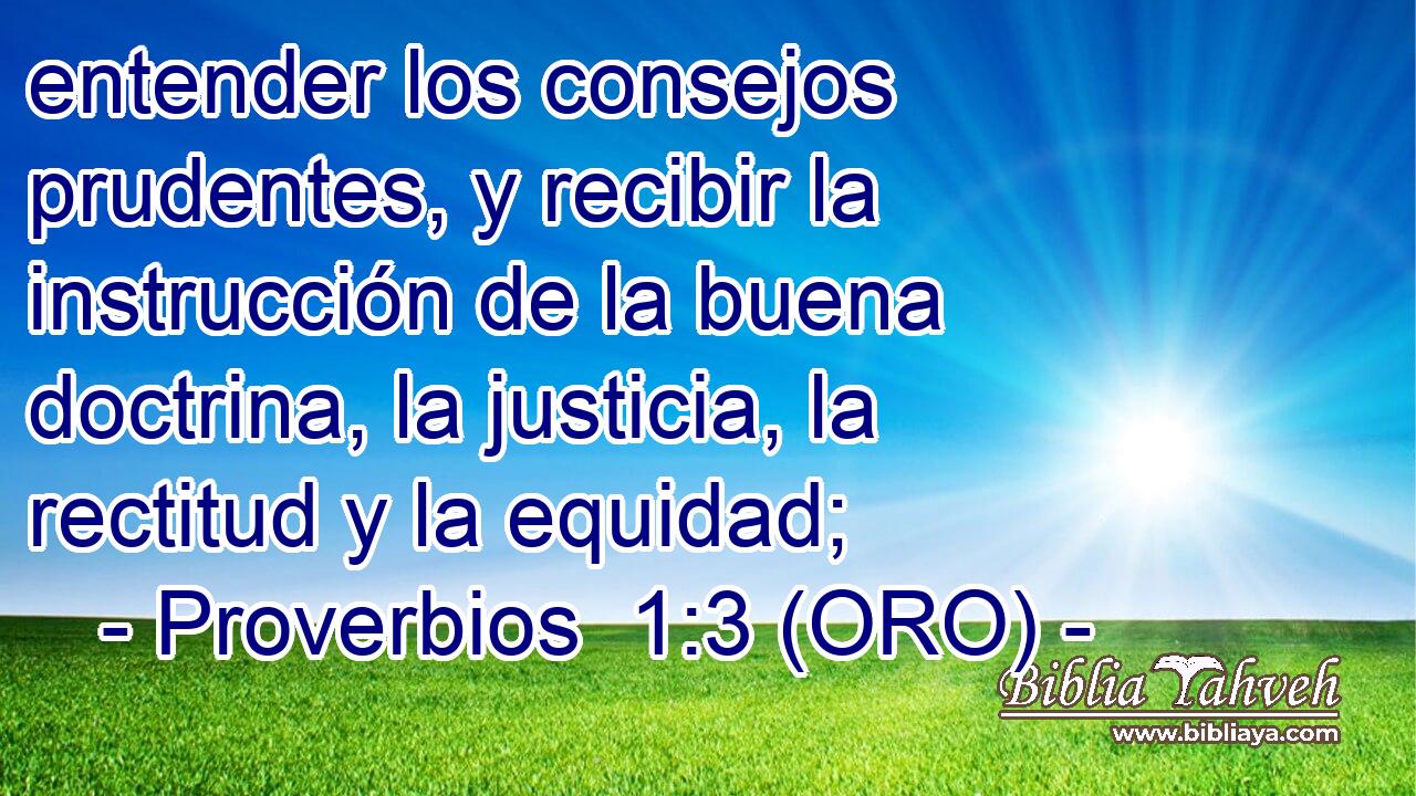  entender los consejos prudentes, y recibir la instrucción de la buena doctrina, la justicia, la rectitud y la equidad; 