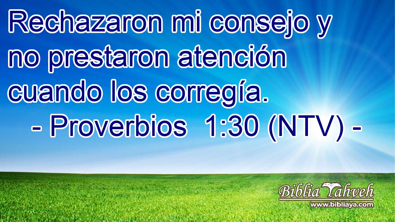 Rechazaron mi consejo y no prestaron atención cuando los corregía.