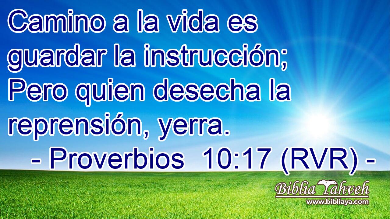 Camino a la vida es guardar la instrucción; Pero quien desecha la reprensión, yerra.