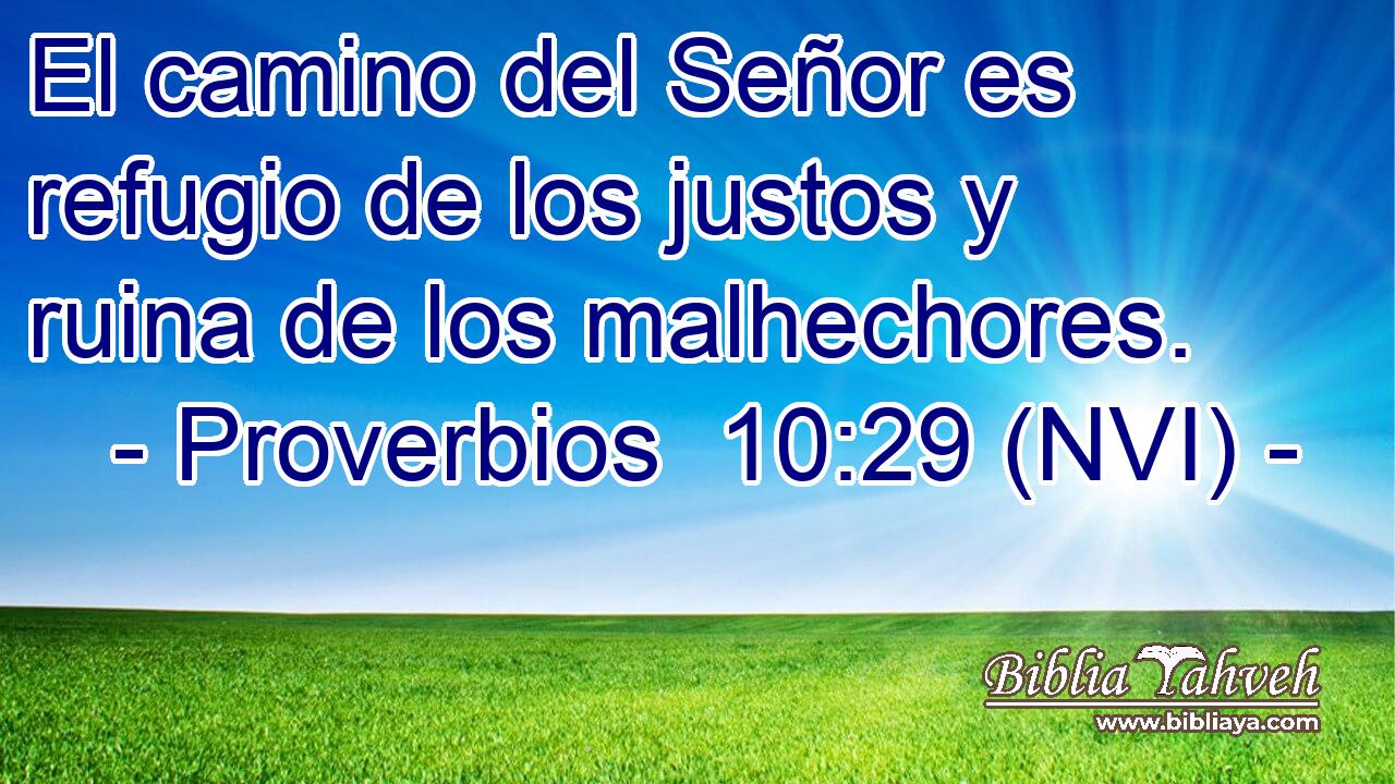  El camino del Señor es refugio de los justos y ruina de los malhechores. 