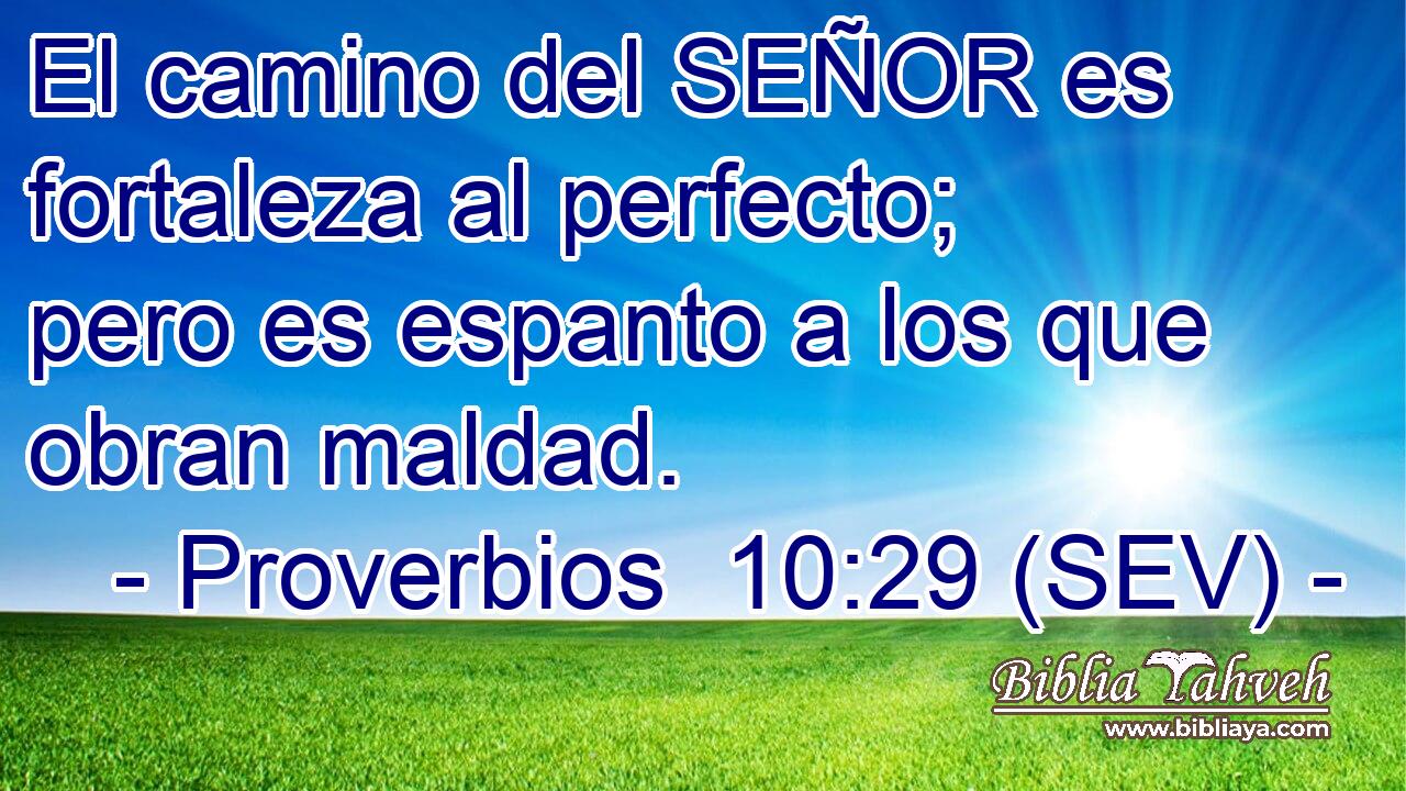 El camino del SEÑOR es fortaleza al perfecto; pero es espanto a los que obran maldad.