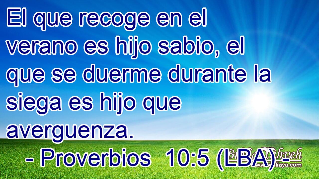 El que recoge en el verano es hijo sabio, el que se duerme durante la siega es hijo que averguenza.