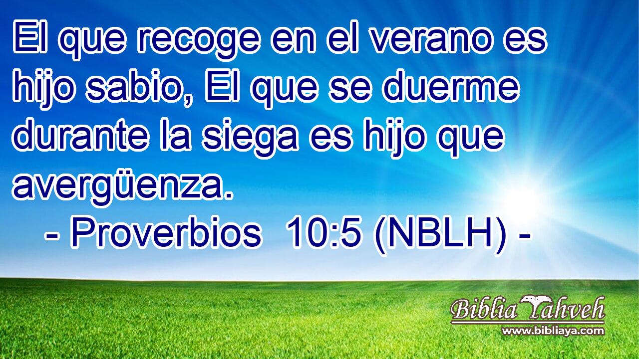  El que recoge en el verano es hijo sabio, El que se duerme durante la siega es hijo que avergüenza. 