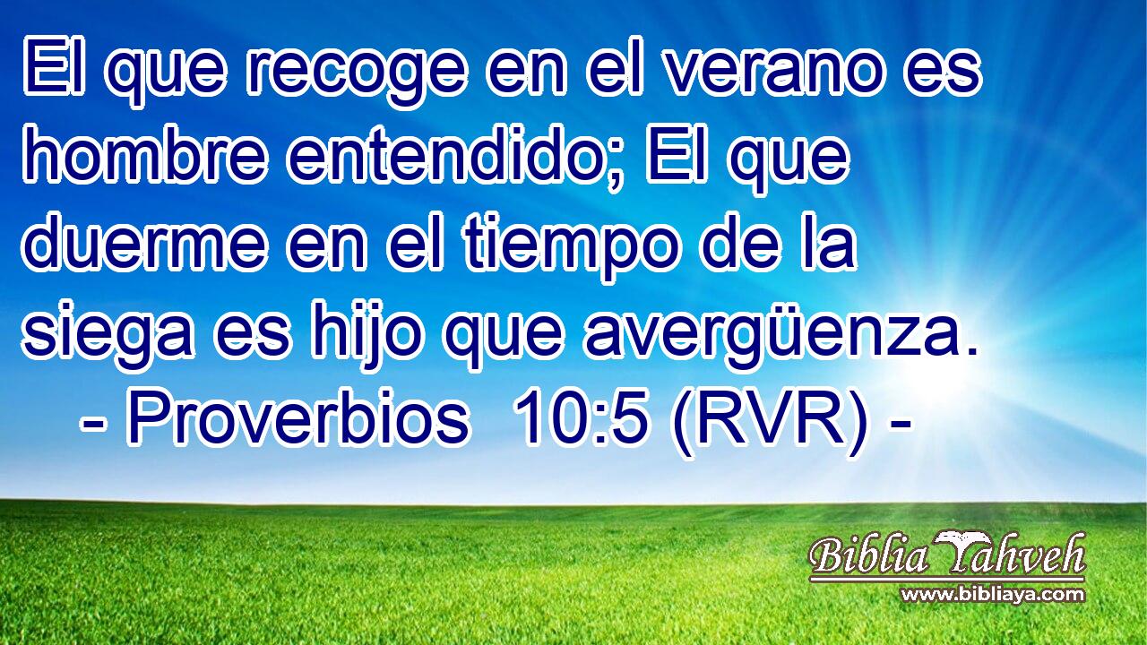 El que recoge en el verano es hombre entendido; El que duerme en el tiempo de la siega es hijo que avergüenza.