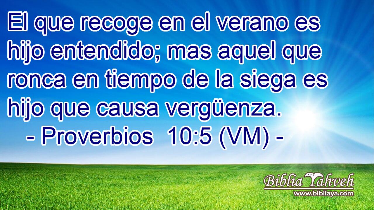  El que recoge en el verano es hijo entendido; mas aquel que ronca en tiempo de la siega es hijo que causa vergüenza. 