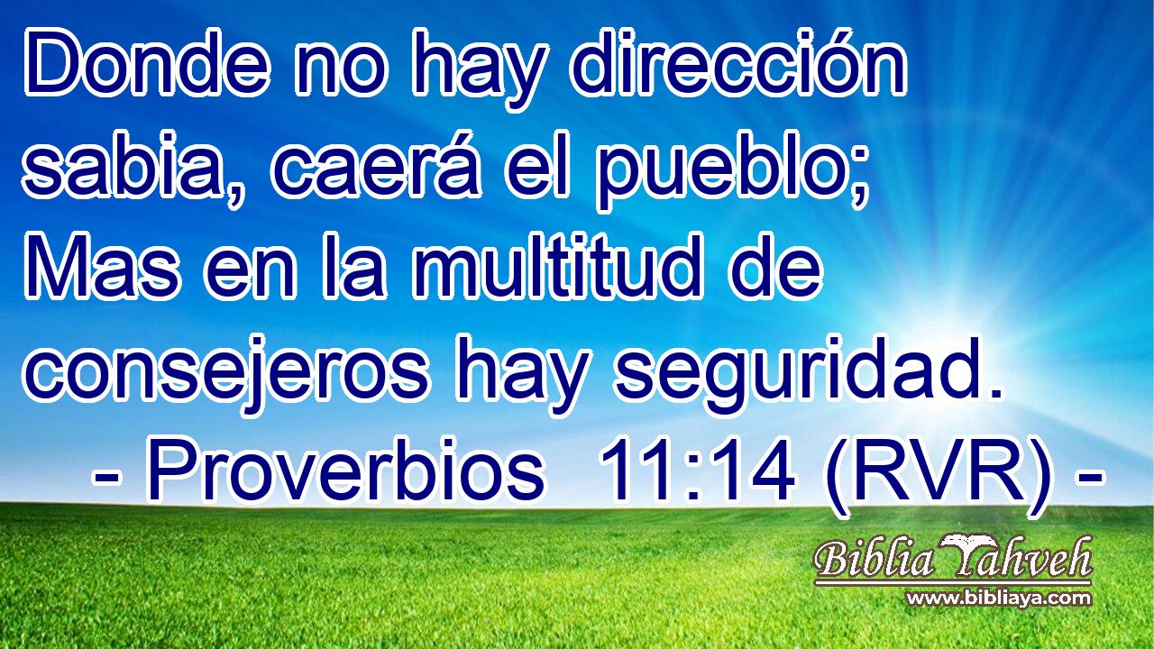 Donde no hay dirección sabia, caerá el pueblo; Mas en la multitud de consejeros hay seguridad.