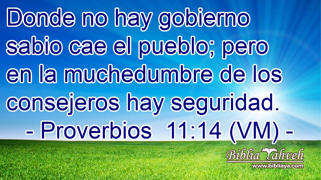  Donde no hay gobierno sabio cae el pueblo; pero en la muchedumbre de los consejeros hay seguridad. 
