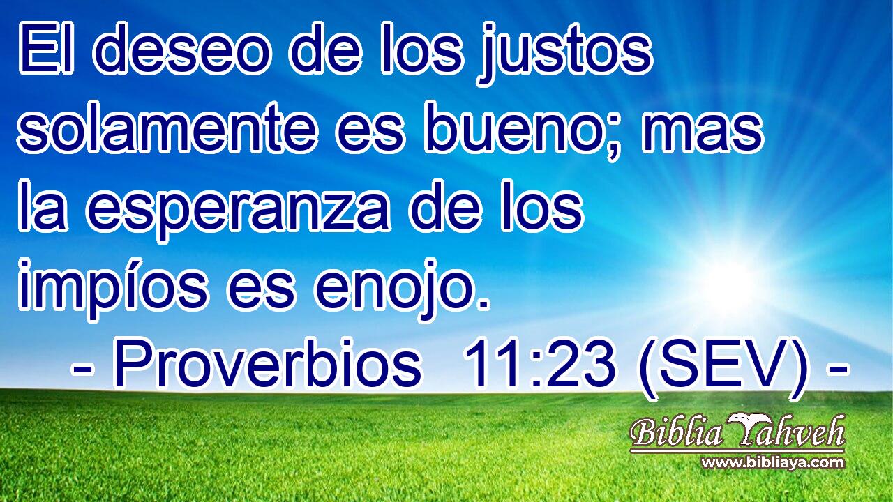 El deseo de los justos solamente es bueno; mas la esperanza de los impíos es enojo.