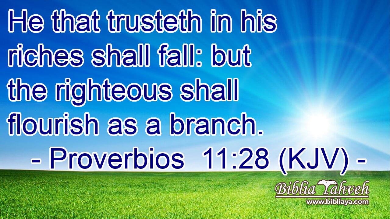 He that trusteth in his riches shall fall: but the righteous shall flourish as a branch.