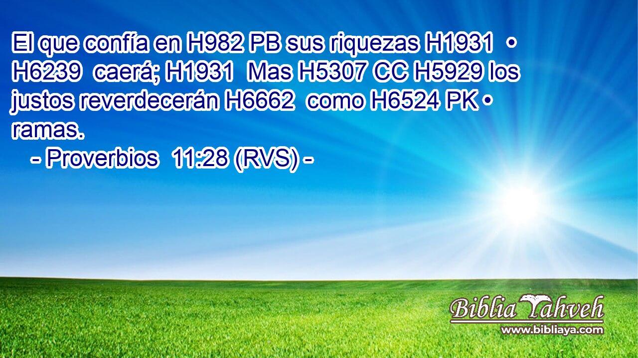 El que confía en H982 PB sus riquezas H1931  • H6239  caerá; H1931  Mas H5307 CC H5929 los justos reverdecerán H6662  como H6524 PK • ramas. 