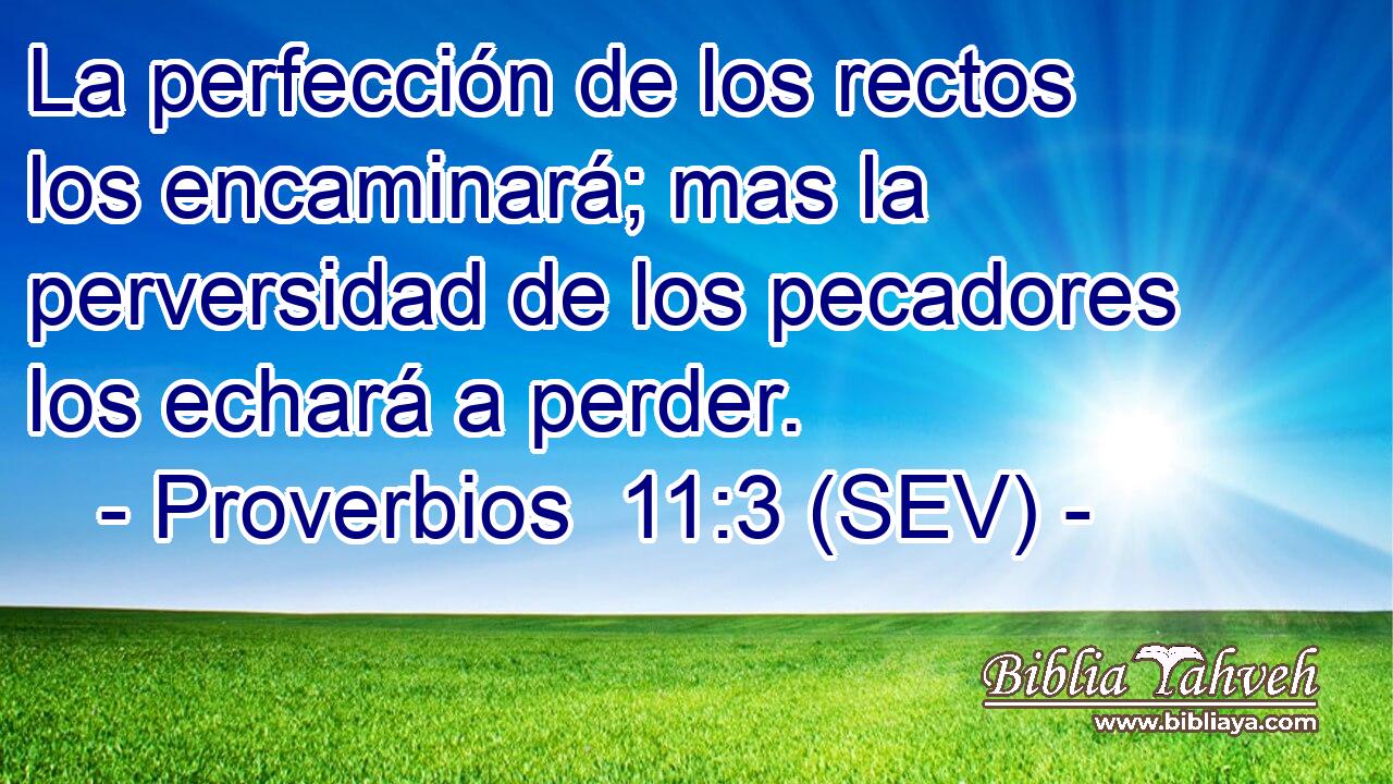 La perfección de los rectos los encaminará; mas la perversidad de los pecadores los echará a perder.