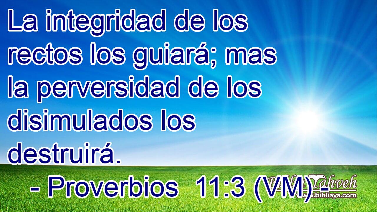  La integridad de los rectos los guiará; mas la perversidad de los disimulados los destruirá. 