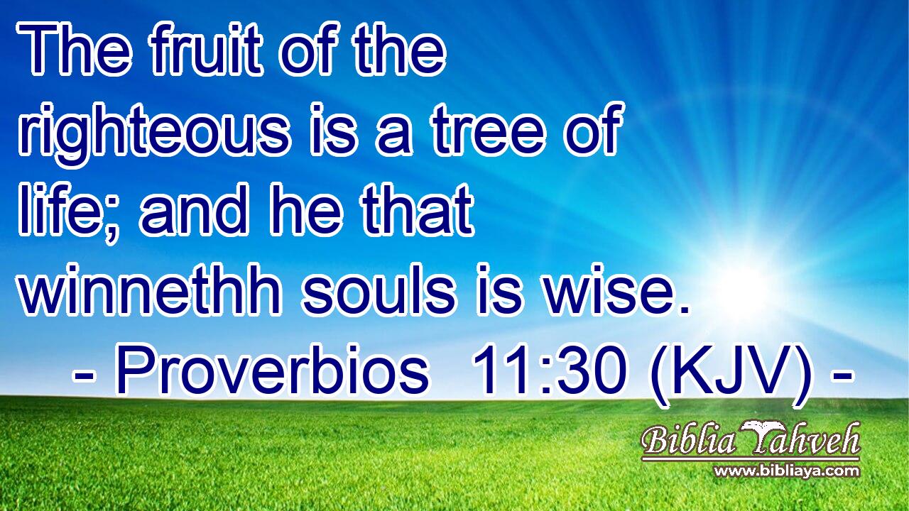 The fruit of the righteous is a tree of life; and he that winnethh souls is wise.