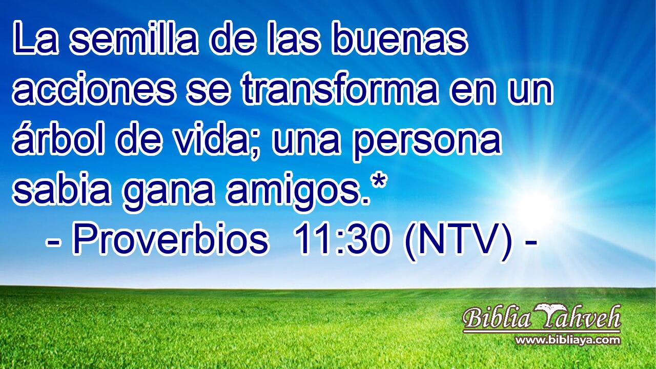 La semilla de las buenas acciones se transforma en un árbol de vida; una persona sabia gana amigos.*