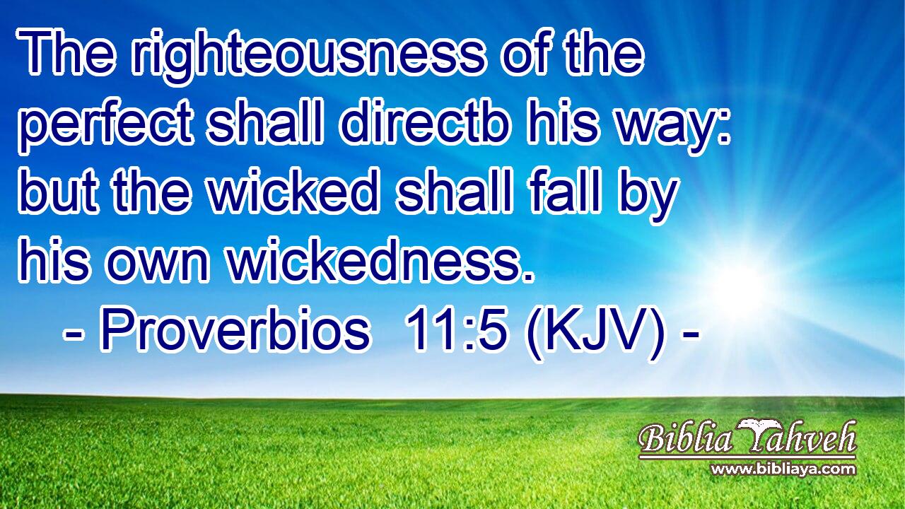 The righteousness of the perfect shall directb his way: but the wicked shall fall by his own wickedness.