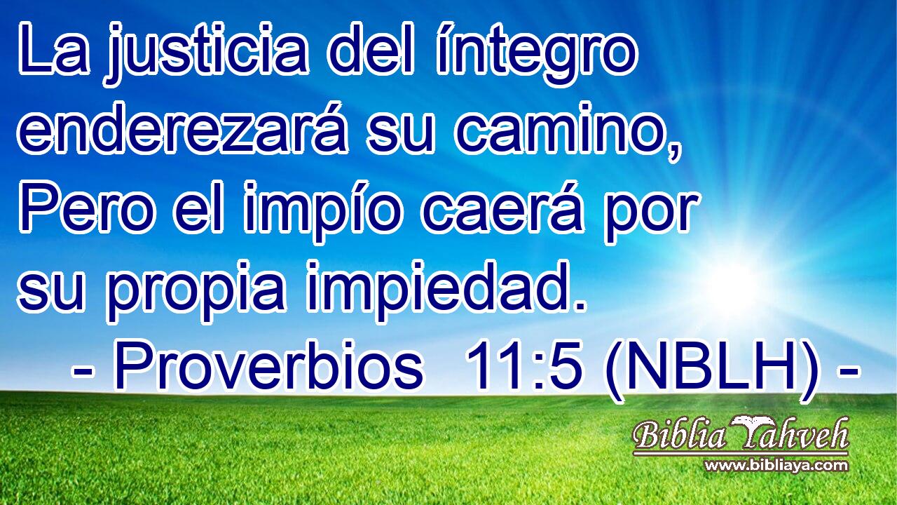  La justicia del íntegro enderezará su camino, Pero el impío caerá por su propia impiedad. 