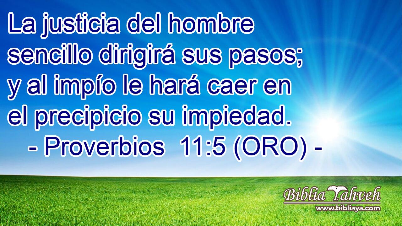  La justicia del hombre sencillo dirigirá sus pasos; y al impío le hará caer en el precipicio su impiedad. 