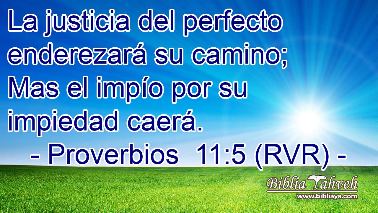 La justicia del perfecto enderezará su camino; Mas el impío por su impiedad caerá.