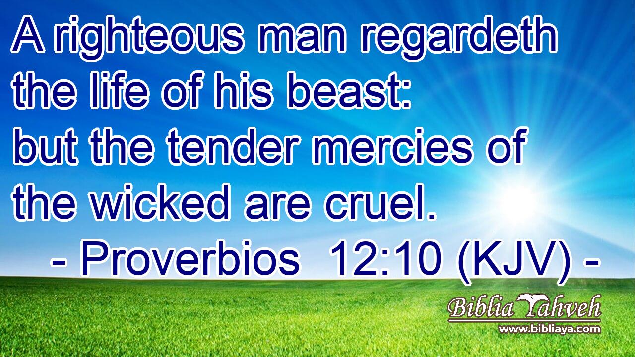 A righteous man regardeth the life of his beast: but the tender mercies of the wicked are cruel.