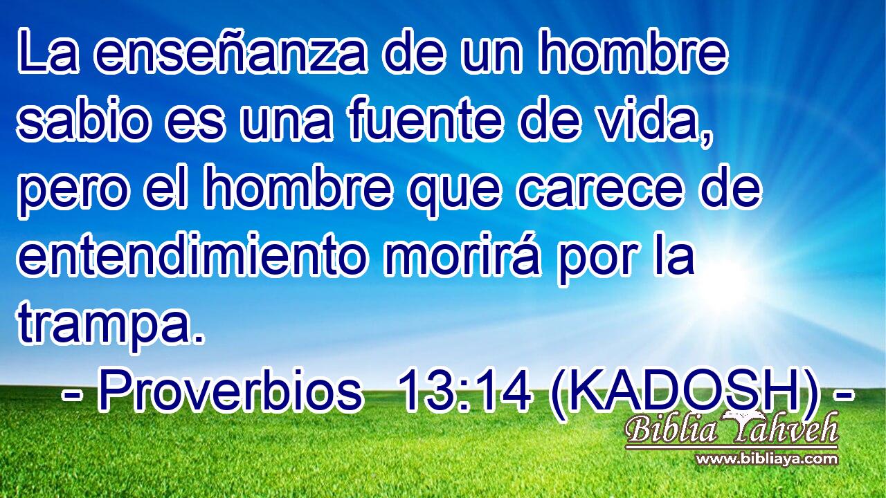  La enseñanza de un hombre sabio es una fuente de vida, pero el hombre que carece de entendimiento morirá por la trampa. 