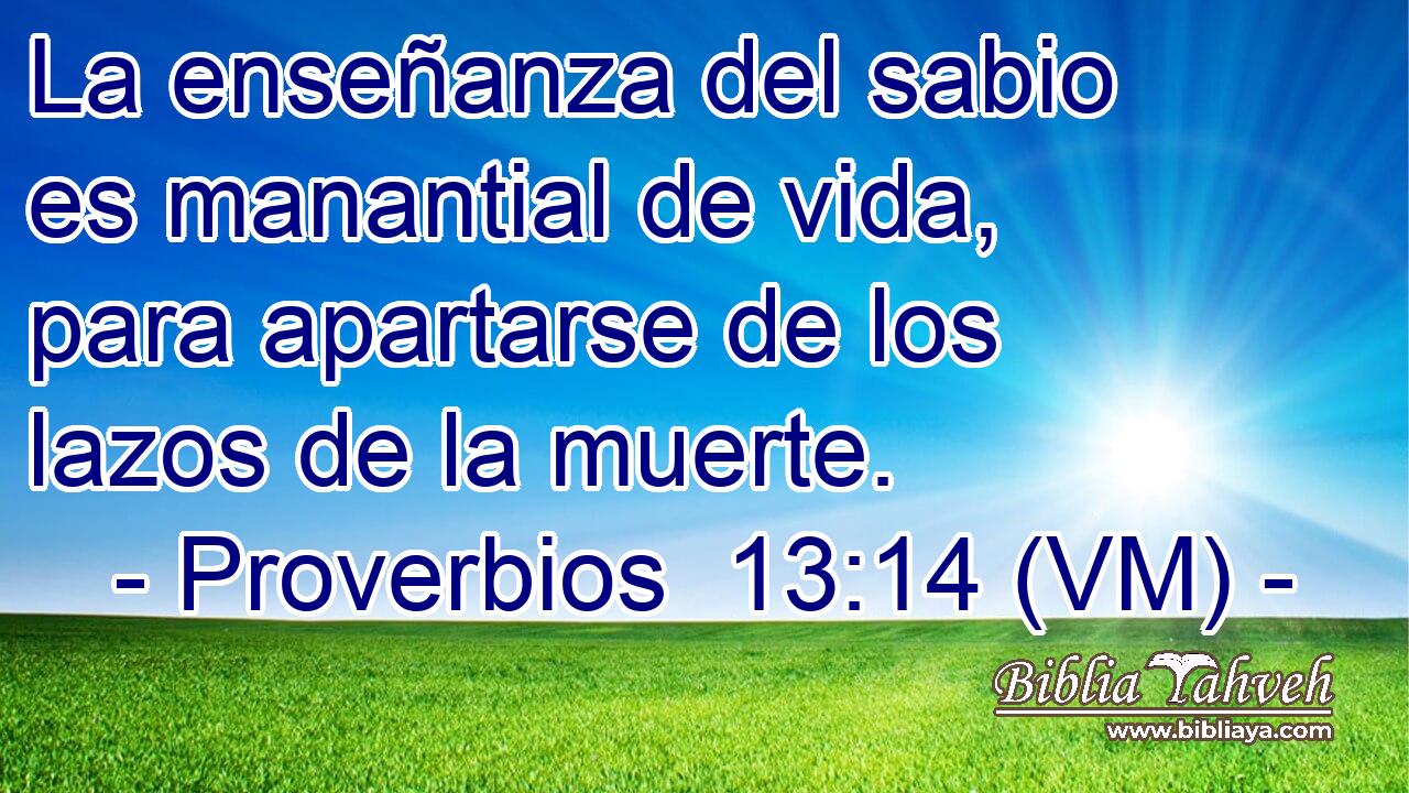  La enseñanza del sabio es manantial de vida, para apartarse de los lazos de la muerte. 