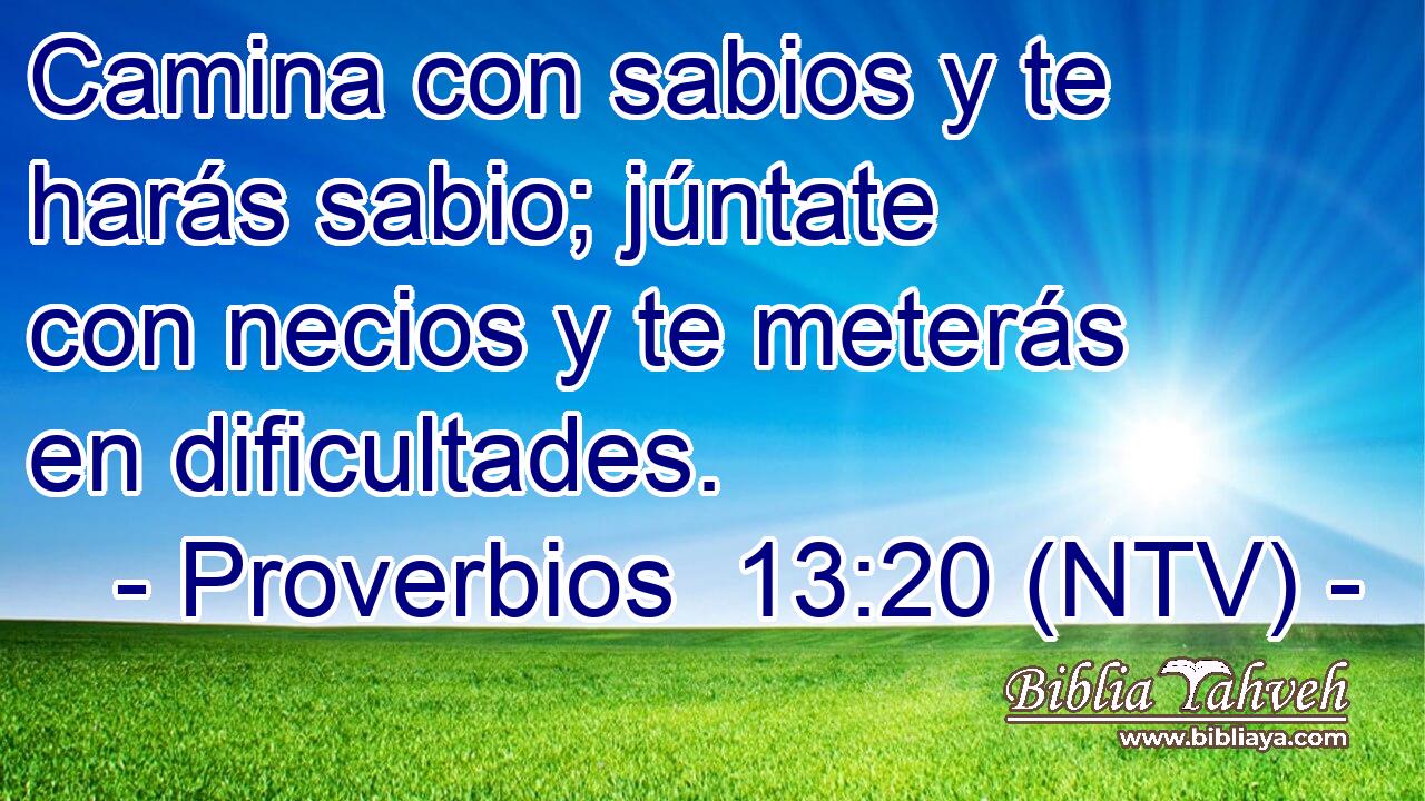 Camina con sabios y te harás sabio; júntate con necios y te meterás en dificultades.