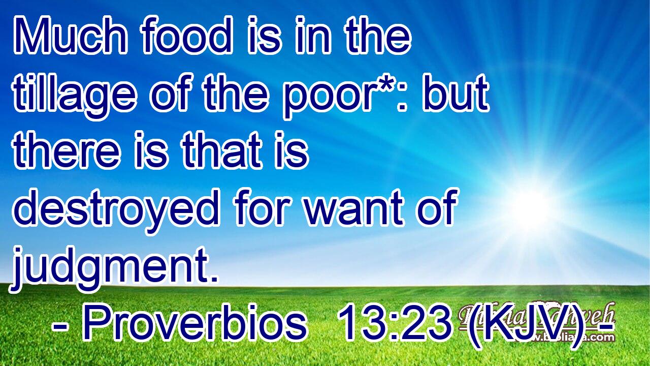 Much food is in the tillage of the poor*: but there is that is destroyed for want of judgment.
