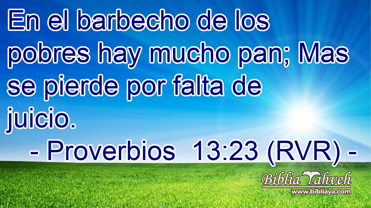 En el barbecho de los pobres hay mucho pan; Mas se pierde por falta de juicio.