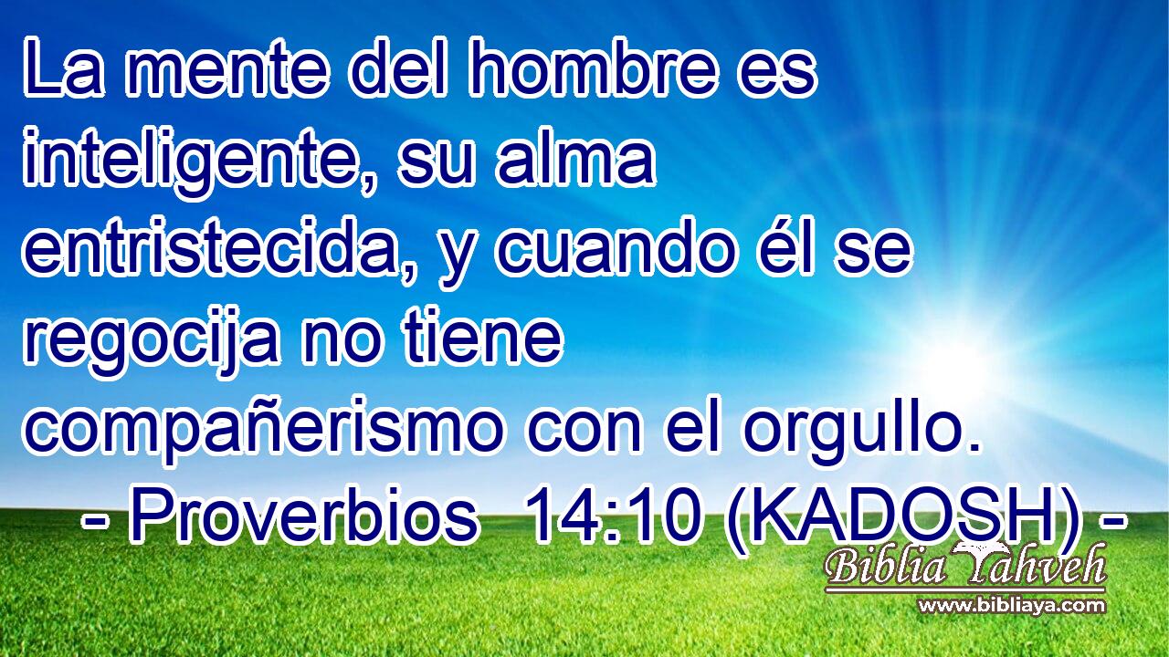  La mente del hombre es inteligente, su alma entristecida, y cuando él se regocija no tiene compañerismo con el orgullo. 