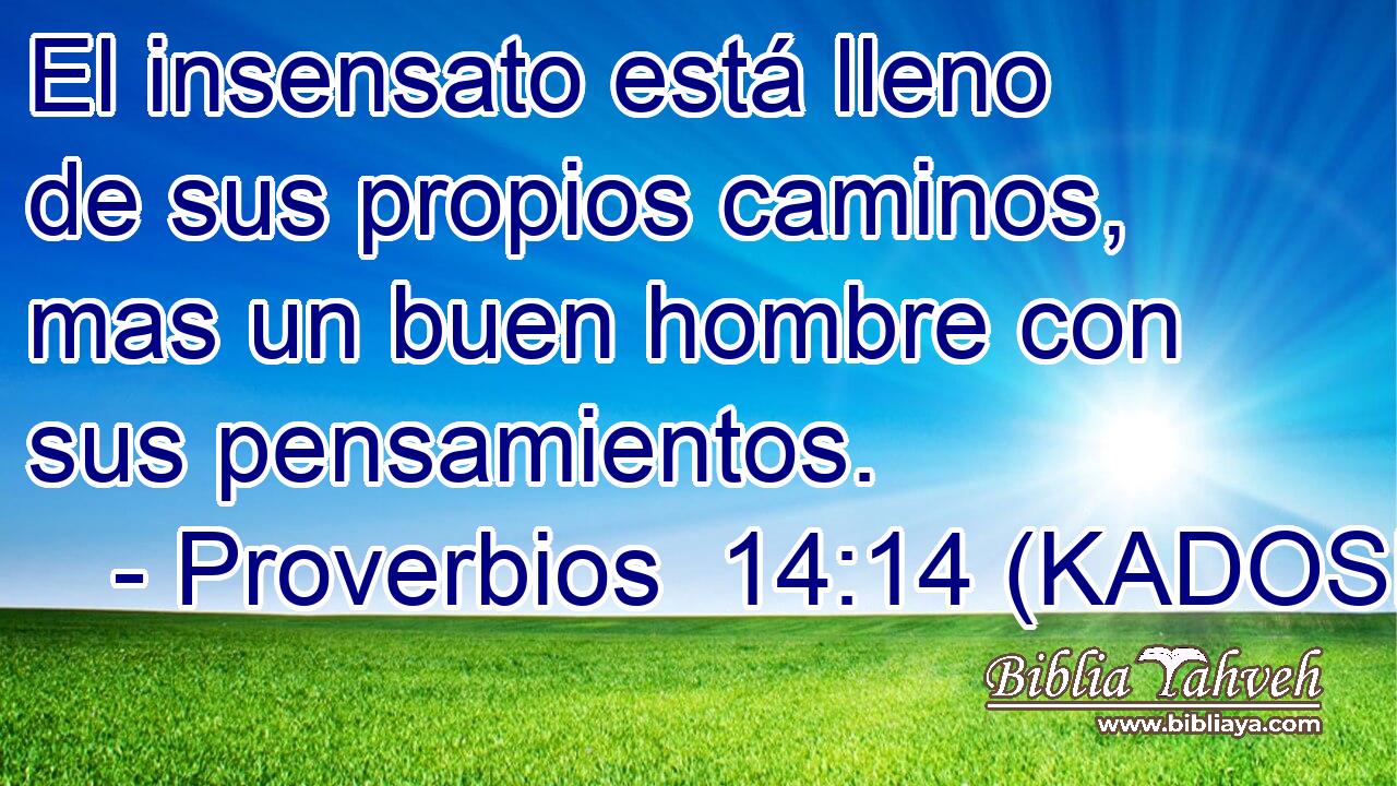  El insensato está lleno de sus propios caminos, mas un buen hombre con sus pensamientos. 
